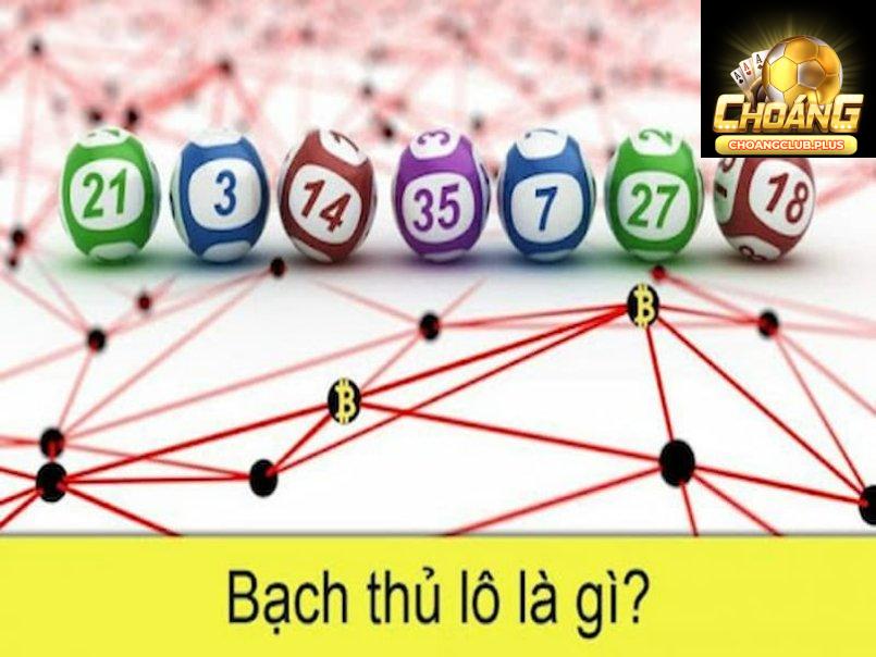 Bạch thủ lô là gì?